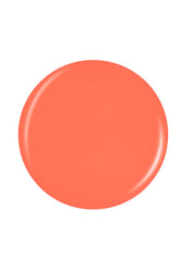 Vector peach color of a circle swatch color drop in white background
